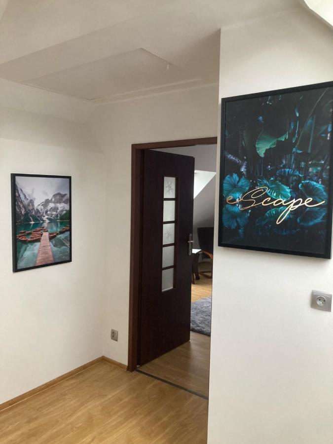 Magiczny Domek Подгужин Экстерьер фото